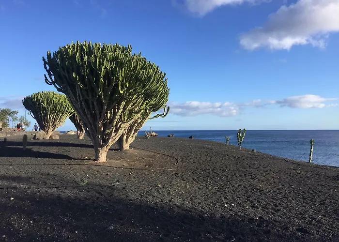 Apartment The Colors House, 653 Y 654 - Private *