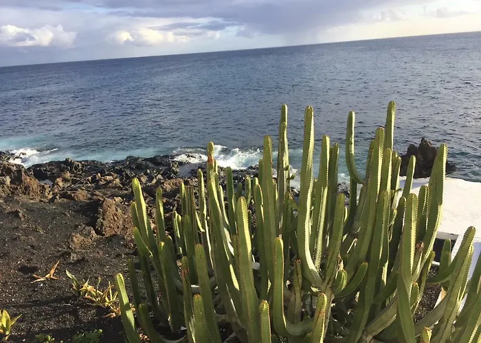 The Colors House, 653 Y 654 - Private Apartmán